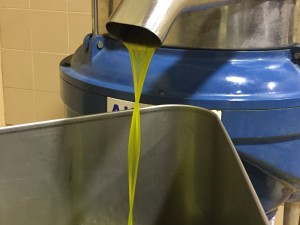 IMG_3028