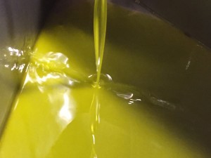 IMG_3033